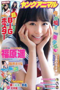 外乡人电视剧